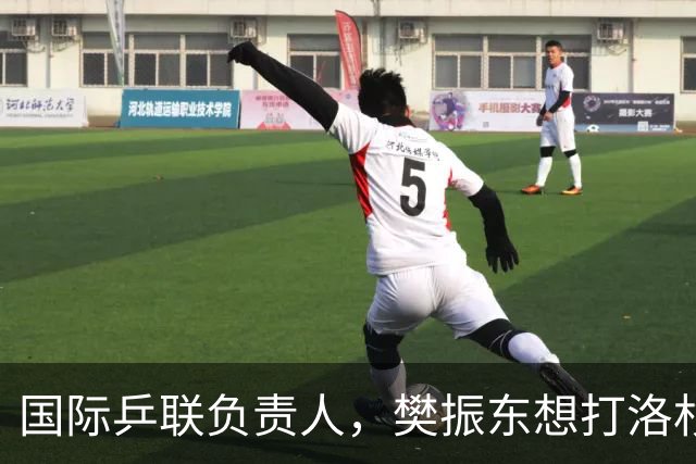 国际乒联负责人，樊振东想打洛杉矶奥运会，没有第三条路？