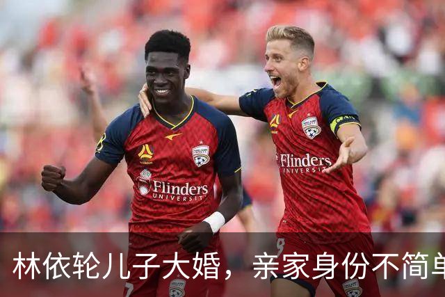 林依轮儿子大婚，亲家身份不简单，是温州华侨，在法国开服装店