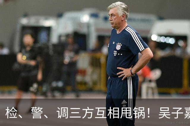 检、警、调三方互相甩锅！吴子嘉上演反击教科书，郑丽文可以效仿